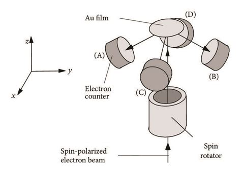 mott spin polarimeter|mott electron polarimetry.